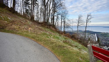 Neues Reservoir kann gebaut werden - oberhalb des Zentrums neben einem Aussichtsbänkli