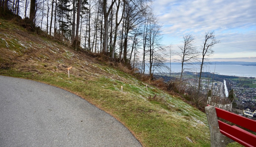 Neues Reservoir kann gebaut werden - oberhalb des Zentrums neben einem Aussichtsbänkli