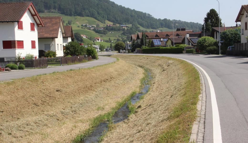 Der Littenbach, nachdem die Bachborde gemäht wurden.