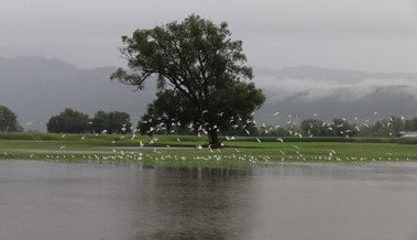 Der starke Regen setzt Felder unter Wasser und lässt Flüsse anschwellen