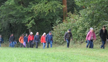 Mittelalter hautnah: Ortsmuseum eröffnet neue Sonderschau mit Burg-Rundgang