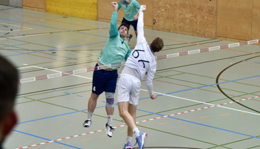 Faustball-Finalturnier in Diepoldsau: 28 Bilder