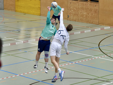 Faustball-Finalturnier in Diepoldsau: 28 Bilder