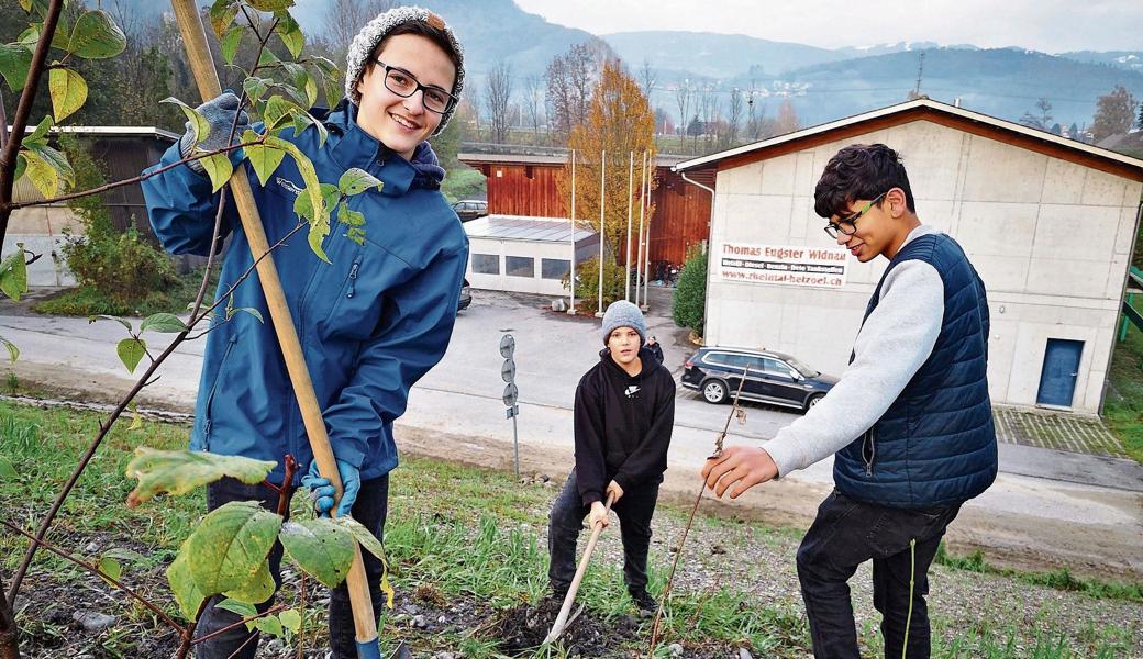 Schülerinnen und Schüler sowie Lehrkräfte des Oberstufenzentrums Oberriet halfen mit, Bäume, Büsche und Sträucher anzupflanzen. 