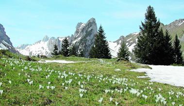 Noch ist auf   Wanderwegen Vorsicht geboten