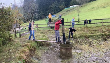 Naturschutzgruppe machte den Weiher für die nächste Saison fit