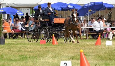 Bündner Equipe vor Rheintaler Gespannen