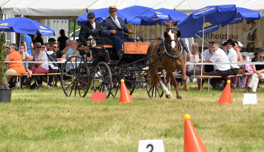 Marco Eschenmoser aus Rheineck, vom organisierenden Pferdezuchtverein Rheintal und Umgebung, fuhr am OKV-Fahrcup mit seiner Equipe auf den dritten Platz.