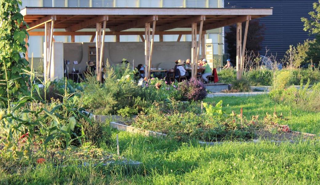 Ein Teil des Areals wird als Nutzgarten für die Cafeteria bewirtschaftet, der andere wird als nachhaltig gestalteter Gemeinschaftsgarten inklusive Pavillon und Grillplatz genutzt, wovon Mensch, Natur und Umwelt profitieren.