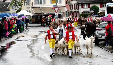 Viehschau Altstätten abgesagt