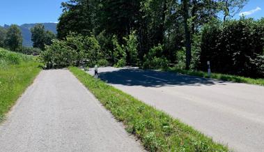 Verkehrsberuhiger Föhn