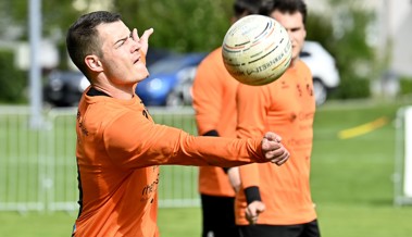 Die Rheintaler Faustballer müssen zurzeit hartes Brot essen