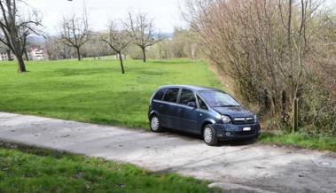 Mit gestohlenem Auto verunfallt