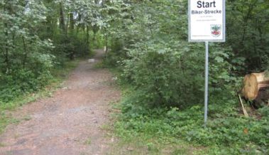 Infoanlass der Ortsgemeinde zur Ausforstung des Kriessner Wäldli