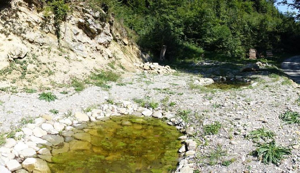 Fortpflanzungsgewässer mit Landlebensräumen für die Geburtshelferkröte in der Lahmern zeigen die gewünschte Wirkung.