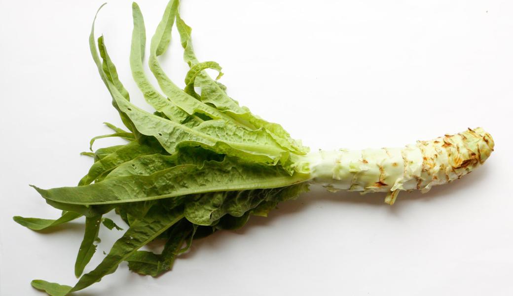 Beim Spargelsalat ist das Hauptprodukt der Stängel, die Salatblätter sind nur die Zugabe. 