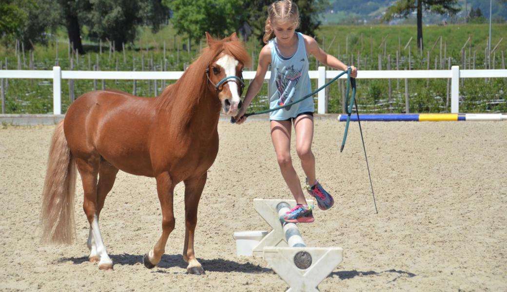 Sina Fässler balanciert an der Mini’s Challenge über das Cavaletti, ihr Pony Maxl begleitet sie dabei.