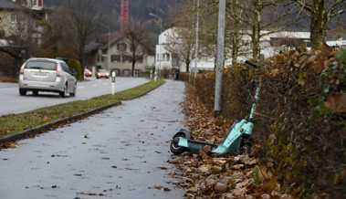 Das «Tier» am Strassenrand: Wird die Region bald zum neuen E-Scooter Hotspot?