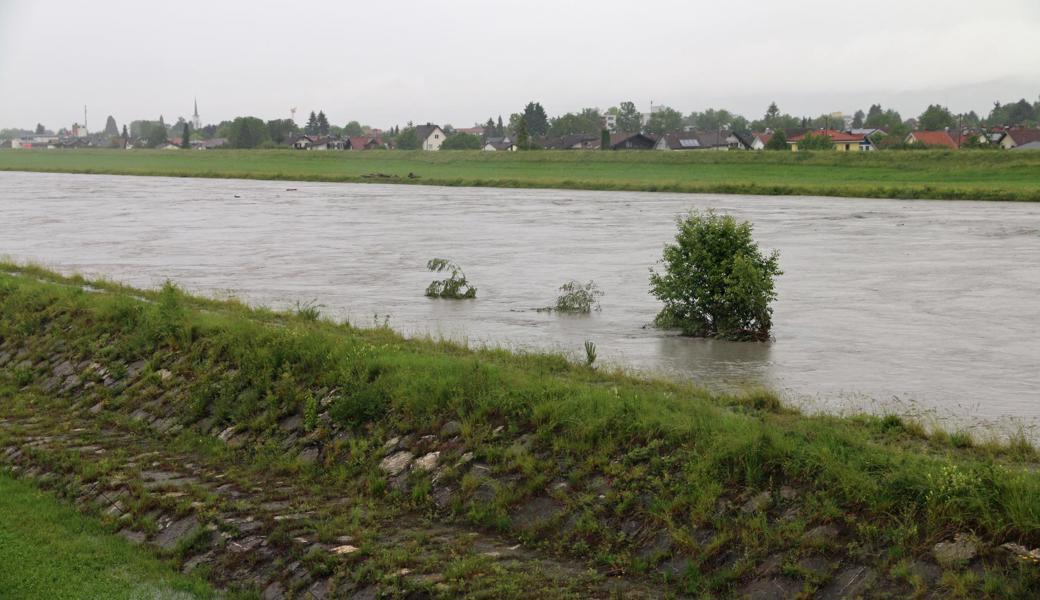 Rhein bei der Wiesenrain-Brücke Widnau.