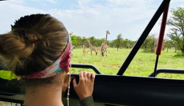 Los geht das Safari-Abenteuer – Afrika Teil 1