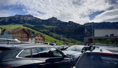 Wiese ist entscheidend, um genügend Parkplätze anbieten zu können