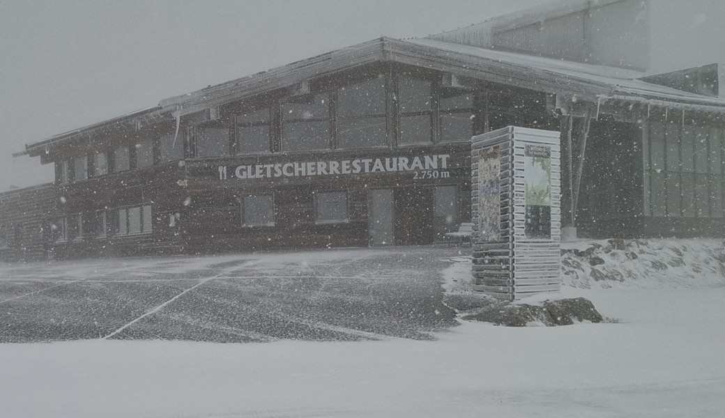 Nach dem ersten Schneeball des Winters freue ich mich schon wieder auf den Sommer