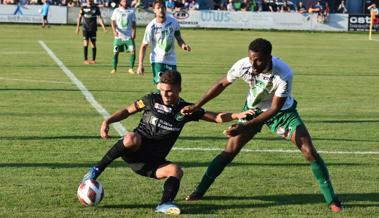 Fussballfest auf der Rheinau