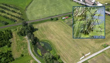 Genau hingeschaut: Ordnen Sie das kleine Bild der Drohnenaufnahme richtig zu