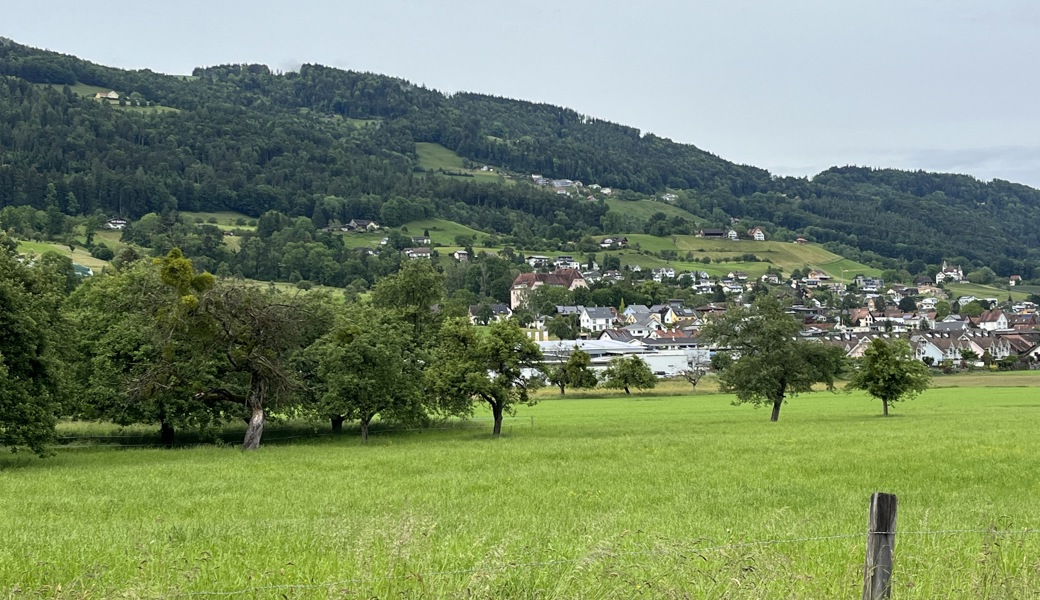 Altstätten senkt Steuerfuss trotz finanzieller Herausforderungen – Bürger entscheiden sich klar für Entlastung