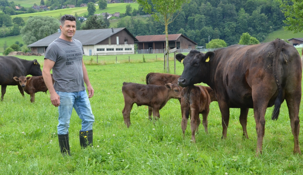 Christian Vetsch und Hans Hagmann züchten Wagyu-Rinder  - sie sind ein kulinarischer Schatz