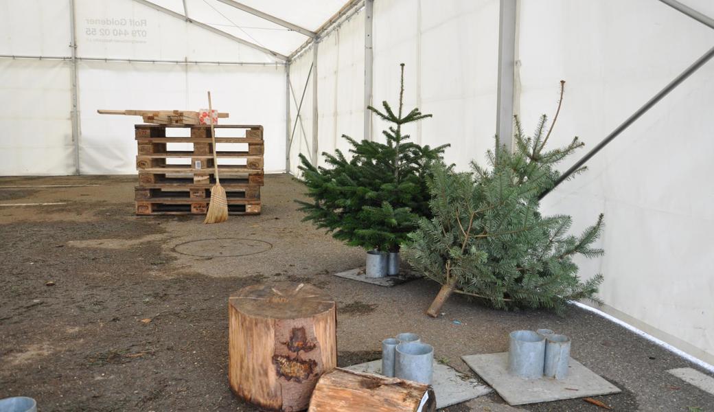 Erst Christbäume, dann Feuerwerk: Lediglich zwei Weihnachtsbäume mussten noch entsorgt werden, bevor Piero Luigi Margiotta im Zelt beim Coop Heerbrugg mit dem Feuerwerksverkauf beginnen konnte. 	