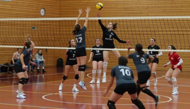 Rheno-Frauen siegen in richtungsweisendem Heimspiel gegen Volley Goldach