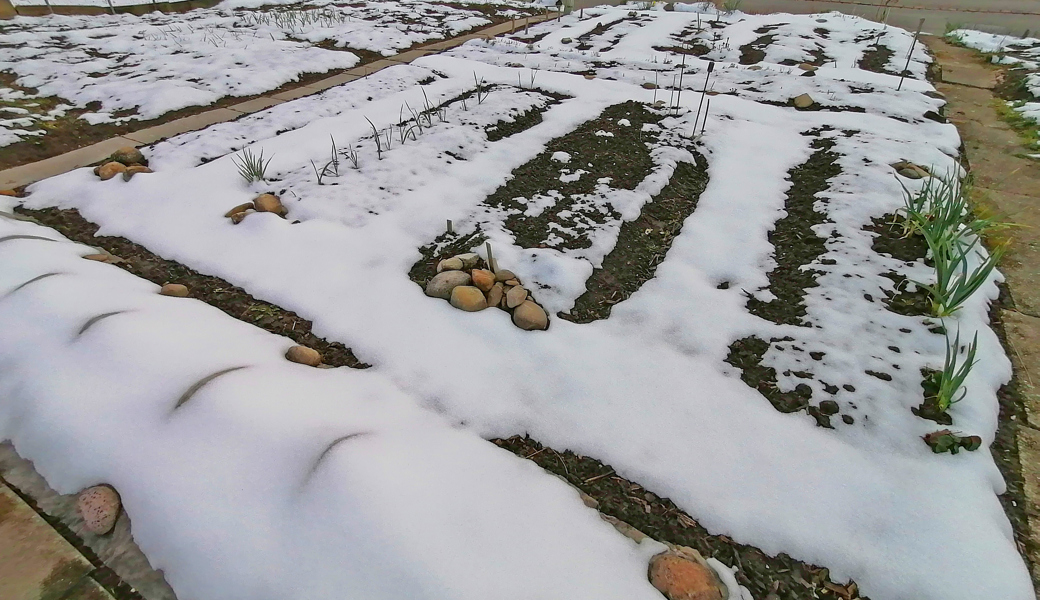 Die winterliche Stille verrät einiges über unseren Umgang mit der Natur