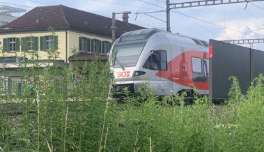 Unterwegs im Zug nach Rebstein-Marbach – Gedanken eines Seelsorgers