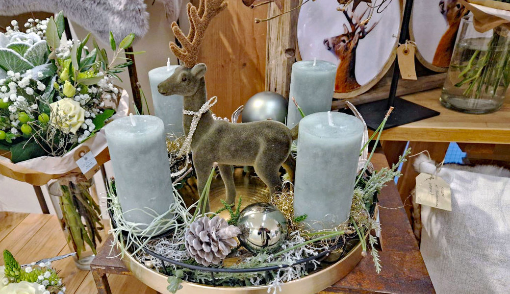 Advent ohne Kranz: Wie ein Hirsch namens Hank zum adventlichen Familienpolitikum wird