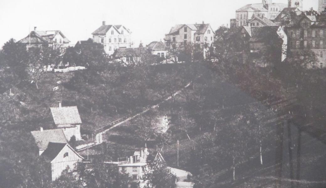 Das grossflächige, alte Bild mit dem Walzenhauser Dorfzentrum ist eine echte Rarität. 