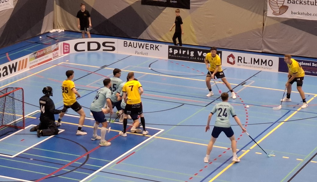 Rheintal Gators feiern den fünften Sieg in Folge und docken an die Top 4 an