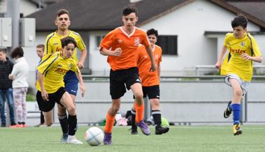 Schülerfussball auf sechs Plätzen