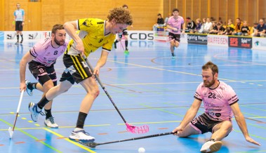 Die überragende Saison der Rheintal Gators ist zu Ende