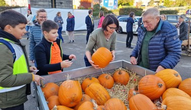 Zuerst wählten die Schülerinnen und Schüler ihre Kürbisse aus.