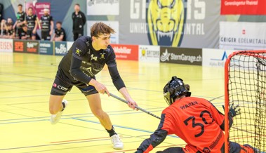 Rheintal Gators schliessen die Regular Season auf dem vierten Rang ab