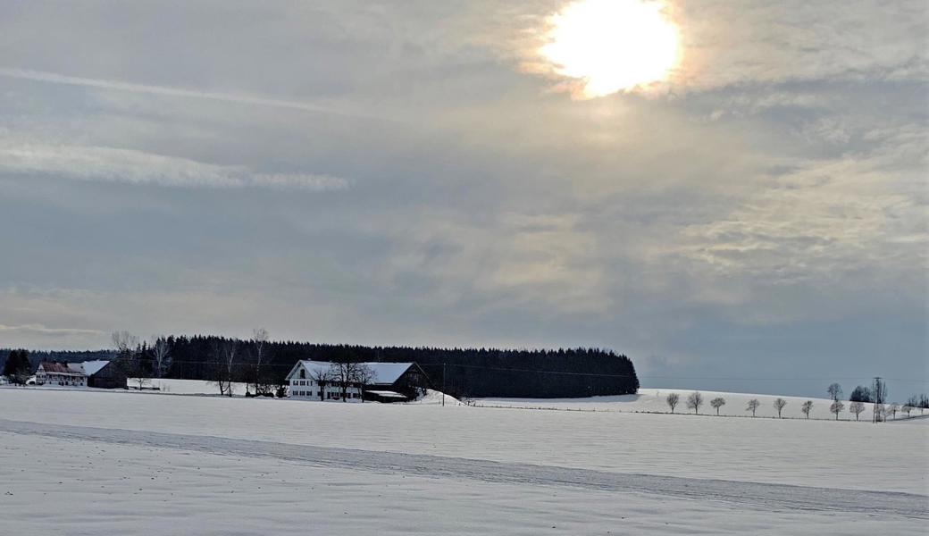 Unberührt liegt das Jahr dort, wie frisch gefallener Schnee.