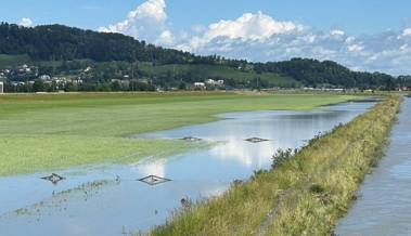 Im Rheinvorland sieht man Weidezäune und nicht die sich spiegelnde Wiesenrainbrücke