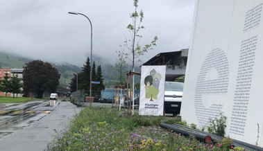 Der Verein Bäumiges Altstätten pflanzt Bäume im Industriegebiet und verfolgt weitere Projekte