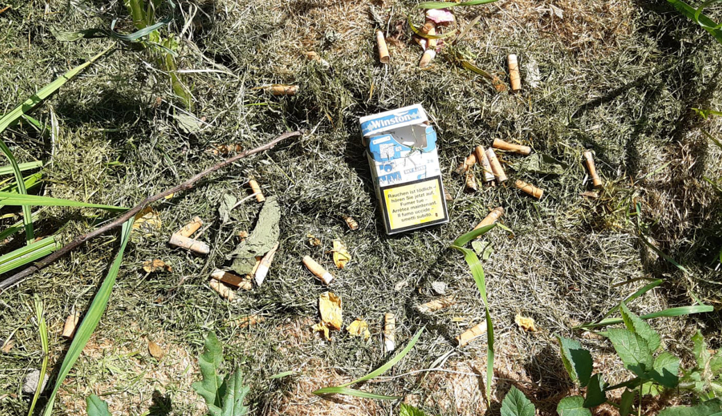 Gemeinde geht härter vor: Im Naturschutzgebiet Hilpert wird regelmässig Abfall entsorgt