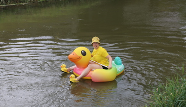 4230 Enten schwimmen den Binnenkanal hinunter