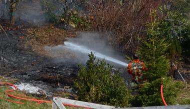 Feuer griff auf Waldrand über