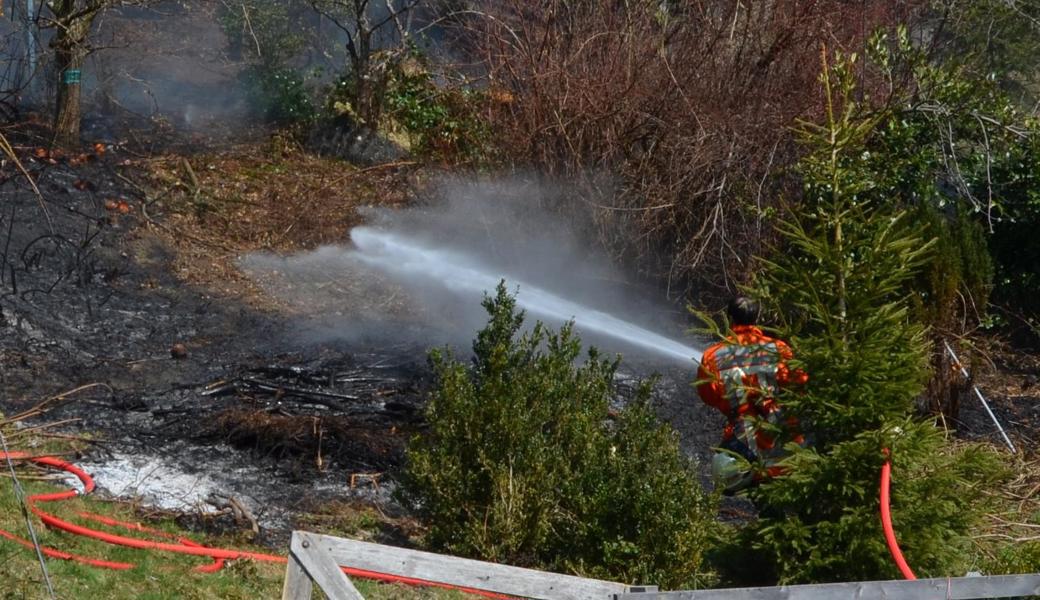 Beim Verbrennen von Holzabfällen dehnte sich das Feuer auf den Waldrand aus.