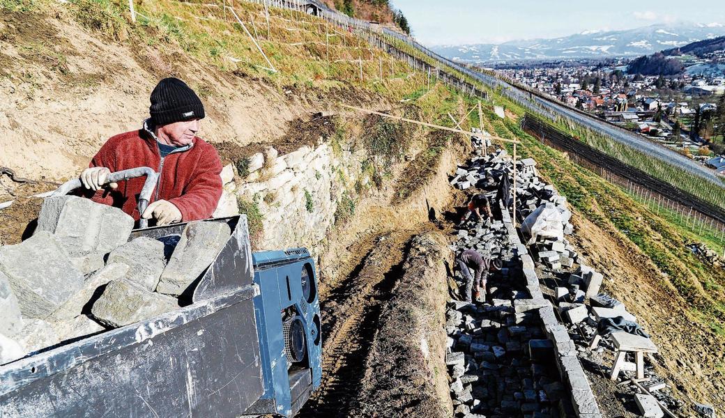 Die Erneuerung dieser Trockenmauer erfolgte im Februar 2018. Die Arbeiten im steilen Rebberg sind anspruchsvoll.