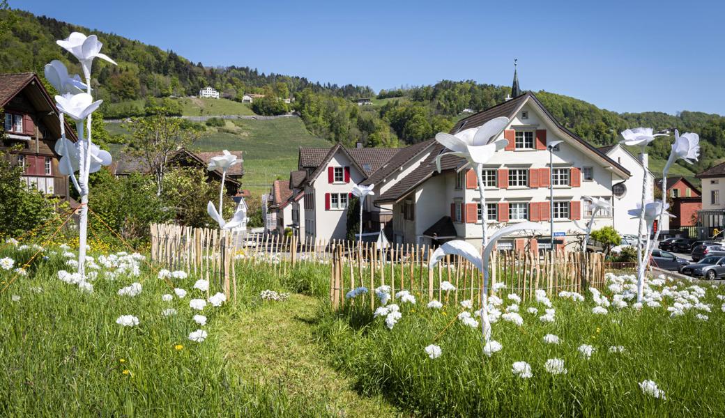 Dank der Paradiesgärten für die Dorf-des-Jahres-Endaussscheidung nominiert: Berneck.